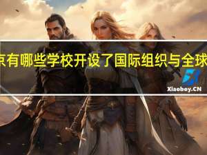 北京有哪些学校开设了国际组织与全球治理专业