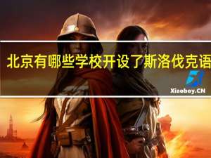 北京有哪些学校开设了斯洛伐克语专业