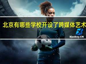 北京有哪些学校开设了跨媒体艺术专业