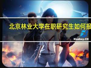 北京林业大学在职研究生如何报名