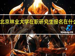 北京林业大学在职研究生报名在什么时候