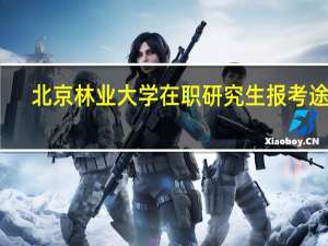 北京林业大学在职研究生报考途径