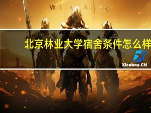 北京林业大学宿舍条件怎么样