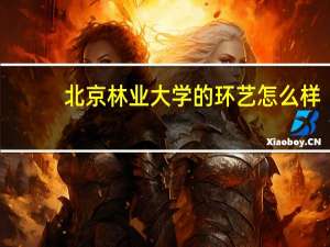 北京林业大学的环艺怎么样