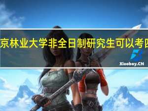 北京林业大学非全日制研究生可以考四六级吗