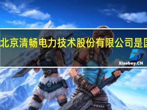 北京清畅电力技术股份有限公司是国企吗（北京清畅电力技术股份有限公司）