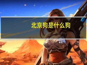 北京狗是什么狗