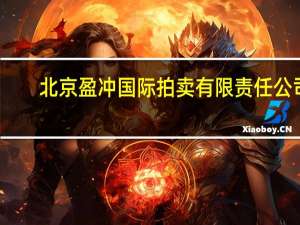 北京盈冲国际拍卖有限责任公司（北京盈时国际拍卖有限公司）