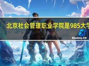北京社会管理职业学院是985大学吗
