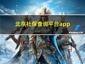 北京社保查询平台app（北京社保查询平台）