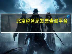 北京税务局发票查询平台（北京税务局发票查询）