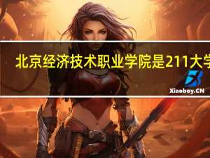 北京经济技术职业学院是211大学吗