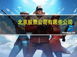 北京股票公司有哪些公司