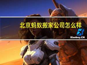 北京蚂蚁搬家公司怎么样