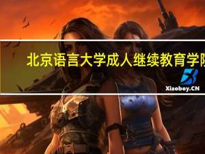 北京语言大学成人继续教育学院（北京语言大学继续教育学院）