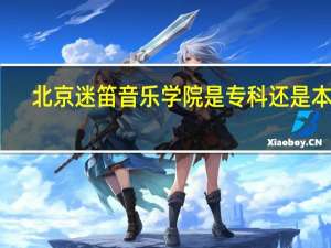 北京迷笛音乐学院是专科还是本科