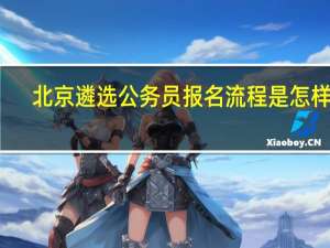 北京遴选公务员报名流程是怎样的