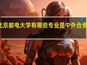 北京邮电大学有哪些专业是中外合资办学的