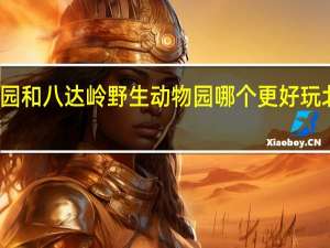 北京野生动物园和八达岭野生动物园哪个更好玩 北京动物园老虎咬人