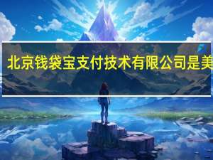 北京钱袋宝支付技术有限公司是美团吗（钱袋宝小精灵非接版简介）