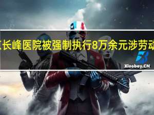 北京长峰医院被强制执行8万余元涉劳动争议案件