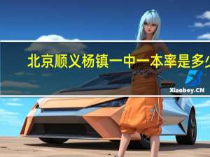 北京顺义杨镇一中一本率是多少