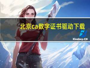 北京ca数字证书驱动下载（湖北地税ca驱动组件下载）