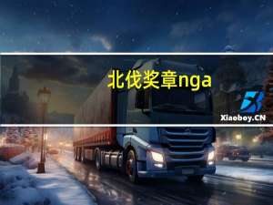 北伐奖章 nga（北伐奖章）
