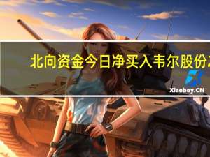 北向资金今日净买入韦尔股份2.85亿、东方财富3.51亿净卖出赛力斯1.65亿、宁德时代11.17亿