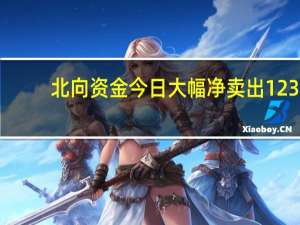 北向资金今日大幅净卖出123.38亿元 比亚迪净卖出6.84亿元