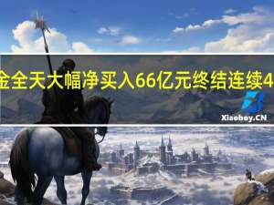 北向资金全天大幅净买入66亿元 终结连续4日净卖出态势