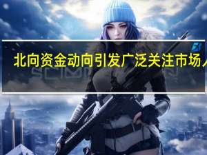 北向资金动向引发广泛关注 市场人士：“过度”披露不合理 建议降低披露频率或减少披露内容