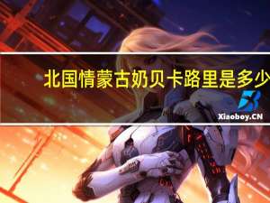 北国情 蒙古奶贝卡路里是多少