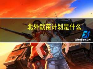 北外歆苗计划是什么