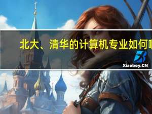 北大、清华的计算机专业如何啊