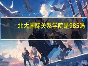 北大国际关系学院是985吗（北大国际关系学院）
