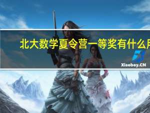 北大数学夏令营一等奖有什么用