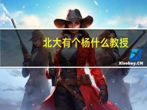 北大有个杨什么教授