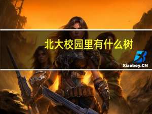 北大校园里有什么树