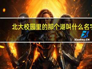 北大校园里的那个湖叫什么名字