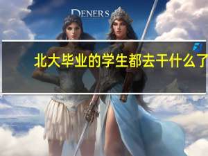 北大毕业的学生都去干什么了