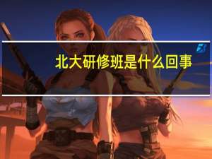 北大研修班是什么回事