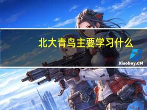 北大青鸟主要学习什么