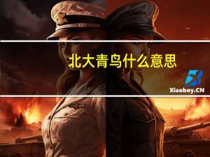 北大青鸟什么意思