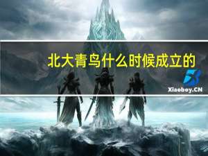 北大青鸟什么时候成立的（北大青鸟什么学校）