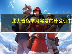 北大青鸟学习完发的什么证书