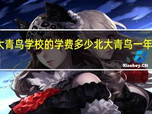 北大青鸟学校的学费多少 北大青鸟一年学费多少