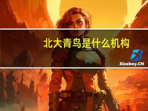 北大青鸟是什么机构
