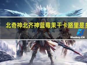 北奇神 北齐神 蓝莓果干卡路里是多少