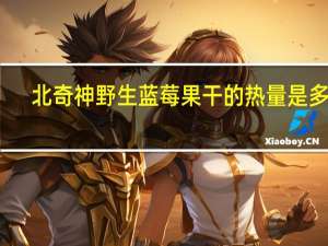 北奇神 野生蓝莓果干的热量是多少